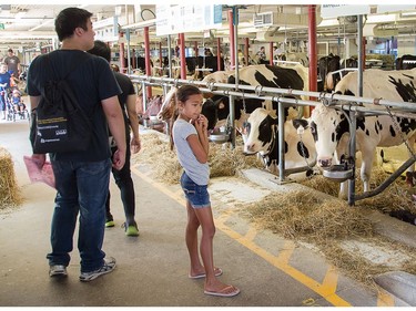 Tours of the dairy barn were popular as the National Ice Cream Day is celebrated at the Ice Cream Festival taking place Sunday at the Canada Agriculture and Food Museum.