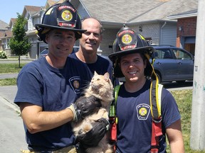Ottawa firefighter Dan Leblanc holds a cat rescued from a fire on Fountainhead Drive Tuesday, with colleagues Barry Rasmussen, rear, and Dave Cummings.