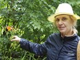 Carolyn Langdon explains the benefits of day lilies during a guided forage trek in the Haliburton Highlands, about four hours from Ottawa. Her wild edibles events include lessons in the nutritional benefits of native plants and a lunch that incorporates them into delicious dishes.