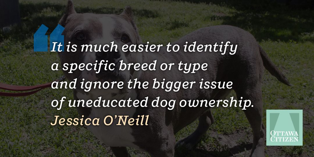 Dog owner quote