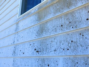 Despite faded paint and lichen growths, this aluminum siding can be made to look good as new. Cleaning, priming and painting is something any handy homeowner can succeed with.