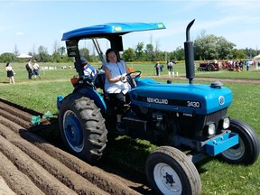 A photo of Nepean Carleton MPP Lisa MacLeod plowing under the careful instruction of plow coach Allen Hills, co-chair of the Canadian Plowing Championships, at Anderson Links golf course on Wednesday.