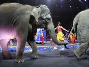 Ringling Bros. and Barnum & Bailey Circus had their last performance with elephants in May. They are among a trend toward no longer forcing elephants to perform.
