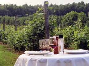 Vignoble du Clos Baillie in Aylmer is one of the oldest vineyards in the area.