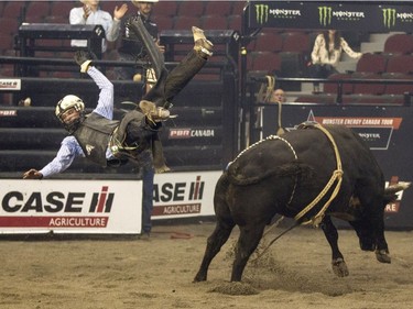 Josh Goodson fails to make the eight seconds aboard Missing Vibrations at Saturday's PBR Bullriding show at TD Place Arena. (Bruce Deachman, Ottawa Citizen)