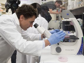 Prime Minister Justin Trudeau examines cells using a microscope as he tours a lab at the Children's Hospital of Eastern Ontario in June.