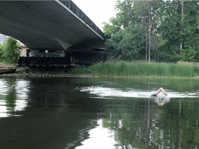 Matthew swims across the Rideau River to stay in reach of the LRT line.
