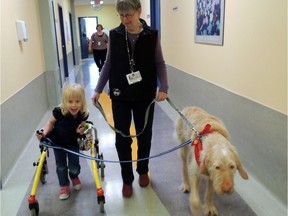 Abby (left) takes a walk with volunteer Mary Lou Trappitt and her therapy dog Clarence at the Ottawa Children’s Treatment Centre school. (Photo by Julianne Labreche)