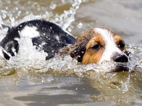 Ottawans will need to find ways to keep cool in the coming days.