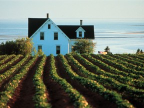 A Prince Edward Island farm house from a TV commercial. How will islanders do with electoral reform?