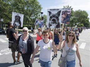 Protesters take part in a march against a ban against pit bulls and other similar breeds, in Montreal, Saturday, July 16, 2016.