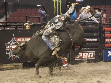 Saskatchewan cowboy Cody Coverchuk at the PBR bull riding competition at TD Place Arena Saturday night. (Bruce Deachman, Ottawa Citizen)