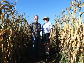 Scientist Ed Gregorich, left, seen with fellow scientist Malcolm Morrison, says a controversial new federal report that addresses the issue of closing climate change studies at the Central Experimental Farm is deeply flawed.