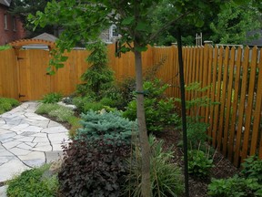 Learn about getting some curb appeal and dwarf conifers at two different talks this week. Good for combining?