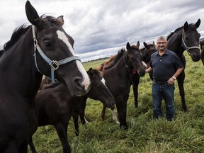 John Phillips will be retiring as the farm manager for the RCMP Musical Ride branch.