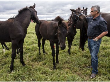 John Phillips will be retiring as the Farm Manager for the R.C.M.P. Musical Ride Branch.