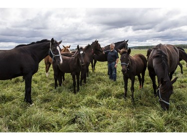 John Phillips will be retiring as the Farm Manager for the R.C.M.P. Musical Ride Branch.