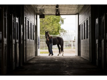 John Phillips will be retiring as the Farm Manager for the R.C.M.P. Musical Ride Branch. John with Stallion "High Spirits".