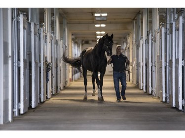 John Phillips will be retiring as the Farm Manager for the R.C.M.P. Musical Ride Branch. John with Stallion "High Spirits".