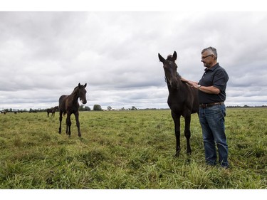 John Phillips will be retiring as the Farm Manager for the R.C.M.P. Musical Ride Branch.