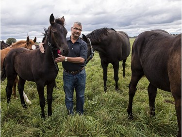 John Phillips will be retiring as the Farm Manager for the R.C.M.P. Musical Ride Branch.