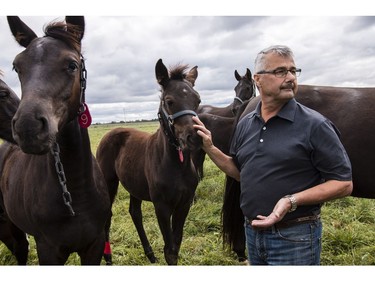 John Phillips will be retiring as the Farm Manager for the R.C.M.P. Musical Ride Branch.