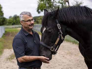 John Phillips will be retiring as the Farm Manager for the R.C.M.P. Musical Ride Branch. John with Stallion "Dubai".