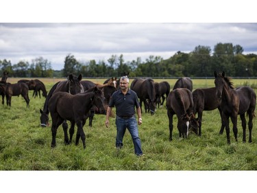 John Phillips will be retiring as the Farm Manager for the R.C.M.P. Musical Ride Branch.