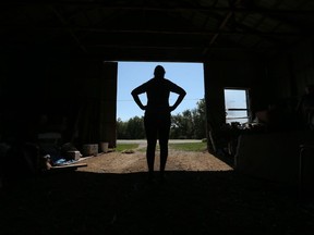 Eleanor Renaud on her 1000 acre farm outside Jasper Ontario Tuesday Sept 6, 2016. Observer on how rural Ontario has different political issues than cities, but is losing its share of political influence as cities grow and cities take over legislatures.