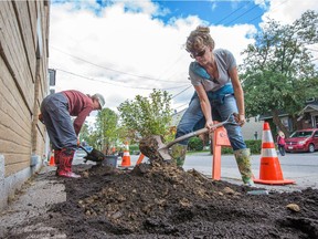 Susan Young, right, and Sabrina Mathews, part of a community group in Sandy Hill, prepare a portion of the garden beds that have replaced some of the asphalt sidewalk along Somerset St in an effort to green Somerset Street East.