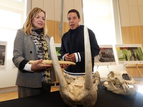 The Museum of Nature unveiled plans for new arctic gallery called Canada Goose Arctic Gallery. Ailsa Barry (L), VP, Experience and Engagement for the Canadian Museum of Nature and Natan Obed, President of Inuit Tapiriit Kanatami talk about the various objects that will be displayed at the new gallery such as a Walrus and polar bear skulls.