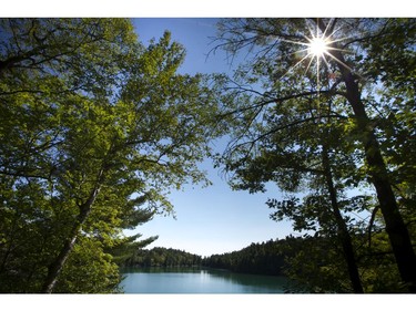 The warm sun shines down on Pink Lake in Gatineau Park.