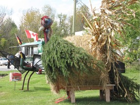 Throughout the village of Lyndhurst this Saturday, visitors will find turkey sculptures made out of all sorts of repurposed materials.  It adds to the festive atmosphere around the community's annual day-long Turkey Fair, which takes over almost the entire village.