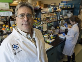 Dr David Picketts and his research team at The Ottawa Hospital Research Institute have discovered that running helps to produce a molecule that repairs the brains of animals with neuro degenerative disease.