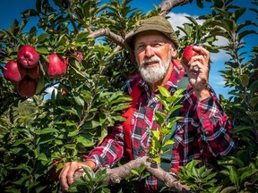 Handyman Red Green is on tour and bringing his comedy show to Ottawa on Oct. 18.