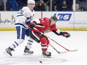 Toronto Maple Leafs defenceman Jake Gardiner and Ottawa Senators left wing Ryan Dzingel battle for the puck during the second period of an NHL pre-season hockey game in Saskatoon, Tuesday, October 4, 2016.