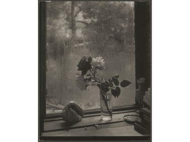 Josef Sudek's Last Rose, 1956part of a new exhibit of his photographic pieces at the National Gallery of Canada until Feb. 26.