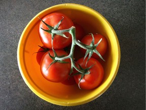 Cold tomatoes used in a study produced 65 per cent less of a class of compounds know as "volatile" chemicals, which means the organic stuff that evaporates and contributes to both smell and flavour.