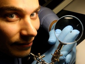 Ross Cheriton, a PhD student in physics at the University of Ottawa, is working on a micro chip (at right) that will power a "bionic eye" (created by Ottawa startup, iBionics) which will hopefully restore sight for the blind and others within five years.