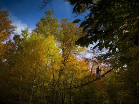 Fall Rhapsody Activities and beautiful weather brought people out to enjoy the fall colours at Camp Fortune in Gatineau Park on Saturday, Oct. 15, 2016.