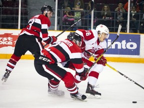 The Ottawa 67's host the Sault Ste. Marie Greyhounds Sunday October 16, 2016 at TD Place arena. Greyhounds #16 Morgan Frost tries to get the puck away from the 67's.    Ashley Fraser / Postmedia