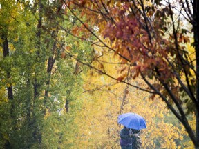 Two people snuggle together to keep dry under the umbrella in the pouring rain along the path near the Nepean Sailing Club, Sunday, October 16, 2016.