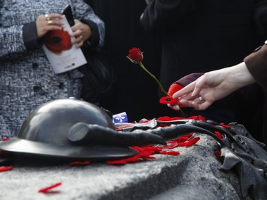 A child lays a rose at the Tomb of the Unknown Soldier during Remembrance Day ceremonies in Ottawa on Friday, November 11, 2016.