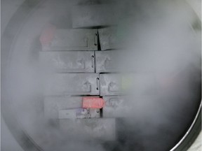 his file photo taken on March 04, 2008 shows dozens of packages containing frozen embryonic stem cells remain in liquid nitrogen in a laboratory, at the Univestiry of Sao Paulo's human genome research center, in Sao Paulo, Brazil. Scientists reported on May 4, 2016 they had grown human embryos in the lab for nearly two weeks, an unprecedented feat that promises advances in assisted reproduction, stem-cell therapies and the basic understanding of how human beings form.