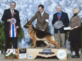 Judge James Reynolds, on the left, says he's always judging — even at the dog park.