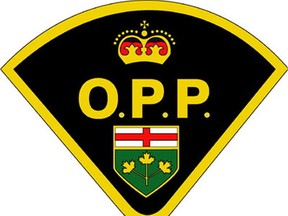 A pedestrian died when struckj by a transport truck in Casselman Friday.