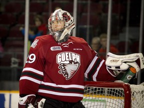 Guelph Storm goalie Liam Herbst stopped 29 of 31 shots and picked up the victory in his return to Ottawa on Saturday, Nov. 5, 2016.