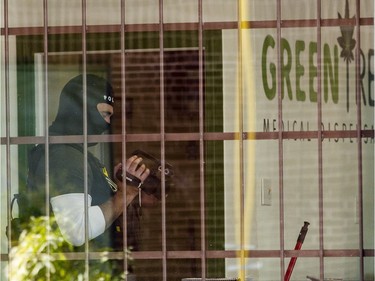 Ottawa Police raid an illegal pot shop, Green Tree Medical Dispensary at 290 Montreal Rd. in Vanier Friday, November 4, 2016. It was part of a crack down on at least five of the city's 17 illegal pot shops.