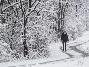 The forecast is for pleasant levels of snowfall over the next few days, leading up to a White Christmas.