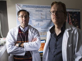 Carleton University researcher Matthew Holahan, left, and Shawn Hayley are worried about moving their labs twice in one year.